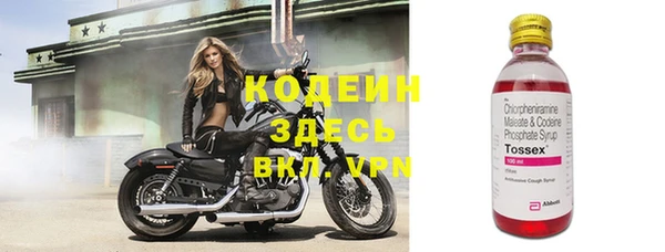 ГАЛЛЮЦИНОГЕННЫЕ ГРИБЫ Абаза