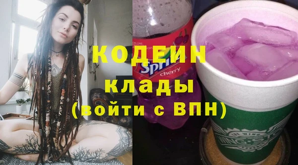 ГАЛЛЮЦИНОГЕННЫЕ ГРИБЫ Абаза