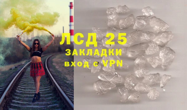 ГАЛЛЮЦИНОГЕННЫЕ ГРИБЫ Абаза