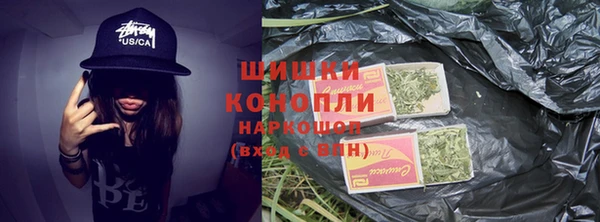 ГАЛЛЮЦИНОГЕННЫЕ ГРИБЫ Абаза